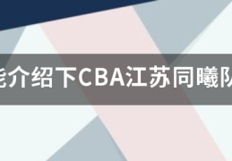谁能介绍下来自CBA江苏同曦队的主教练的360问答简历