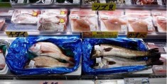 俄媒：俄方已决定自10月16日起对从日本进口鱼类等水产物施行限造:葡萄牙联赛杯