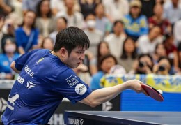 樊振东德甲首秀失利