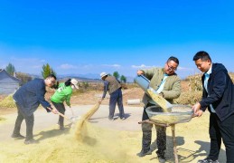 山西灵丘水涧村驻村工作队：十年接力 绘就乡村振兴新图景