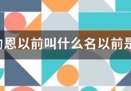 西纳约恩以前叫什么名以前是不是芬超的？:芬超