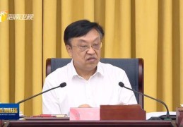 海南省委这一领导小组开会，现场曝光负面案例