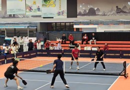 2025广西匹克球超级联赛总决赛收官