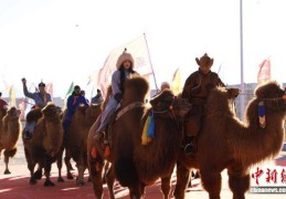 2025阿拉善骆驼超级联赛启幕