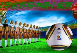 02年世界杯中国小组赛