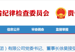 突发！董事长被查