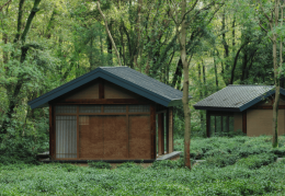 江苏南京：在这里感受生活美学 体验诗意栖居