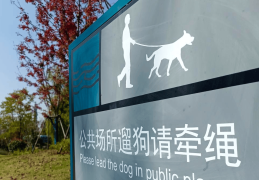小区里金毛犬未拴绳打架追逐，八旬老人受惊摔倒致伤残十级 狗主人被判赔5万余元