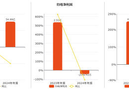 中超控股(002471.SZ)2024年净利润为-2140.43万元，同比由盈转亏