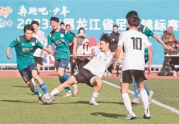 黑龙江省足球锦标赛五大连池开赛:欧洲足球锦标赛