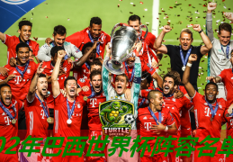 02年巴西世界杯阵容名单