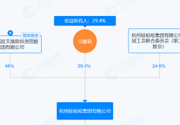 宗馥莉强推“娃小宗”，娃哈哈经销商直摇头