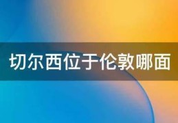 切尔西位于伦敦哪面