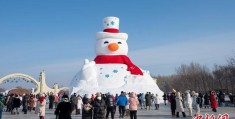 雪园缘:哈尔滨太阳岛雪博会开园 打造百万平方米雪雕艺术盛宴