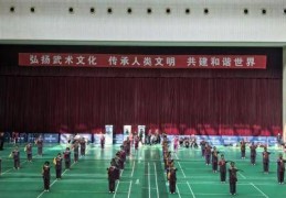武术邀请赛、太极拳精英赛在潍坊举办