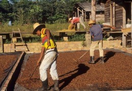 贪心砸了饭碗？巴西坐地起价，中国130万吨大豆瞬间给了阿根廷！