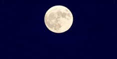 星空有约丨今年度更大满月将于31日现身天宇:贵州茅台队赛程