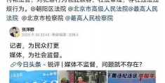 央视名嘴张泽群实名举报北京向阳法院，法院回应：得去核实有没有那事:苏莱马尼