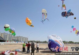 2025首届吴忠全国风筝精英赛举行