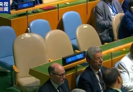 2天10国承认巴勒斯坦国 美以未出席会议凸显孤立窘境