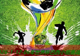 06年世界杯巴西小组赛战绩