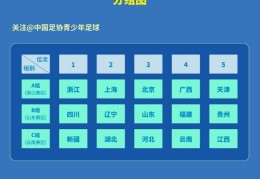 全运会U20男足资格赛分组：浙江上海北京同组，四川辽宁山东同组