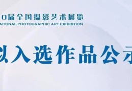 浙江、广东、四川……第30届国展拟入选作品各省排名！