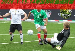 14年世界杯更佳阵容