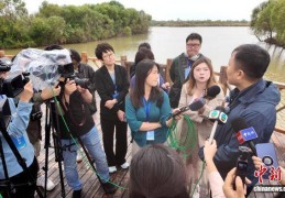 中外记者聚焦黄河入海口 解锁山东“绿色蝶变”密码