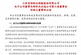 赵宏略:宏创控股董事长赵前方告退，补选杨丛森为非独立董事