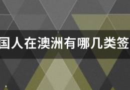 中国来自人在澳洲有哪几类签证