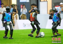 山东青岛：多国机器人同台竞技