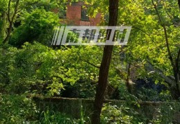 杭州女子氢氟酸中毒身亡，当地称锁定化学品所有者！发现三桶