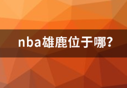 nba雄鹿位于哪？