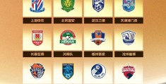中超联赛积分榜:2023赛季中超联赛各俱乐部公益活动陈述