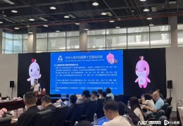 十五运篮球项目决赛阶段分组出炉，广东男篮小组赛将战浙江队