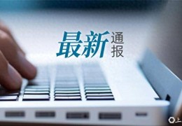 中超比赛做侮辱性动作，两名男子被行拘