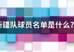 新疆队球员名单是什么？