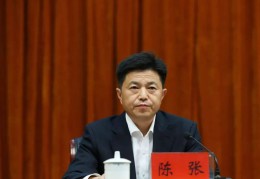 陈张，被查
