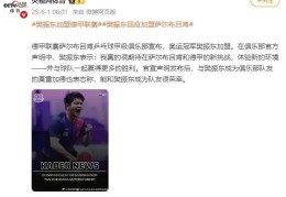 樊振东，加盟德甲联赛