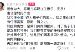 张兰发文：我们如今首要的使命是慰藉和庇护好两个孩子,愿熙媛一路走好！:央视体育