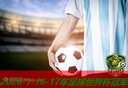 17年足球世界杯冠军