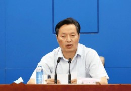 黑龙江省委：要深入罗致李海涛涉嫌严峻违纪违法案件教训:科尔 阿尔德里奇