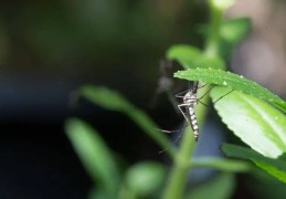 深圳新增22例！广东一地：隔离期间擅离病房，一患者被罚