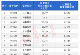 重仓A股！大资金出手(名单)