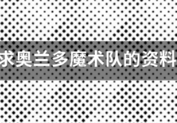 求奥兰多魔术队的资料