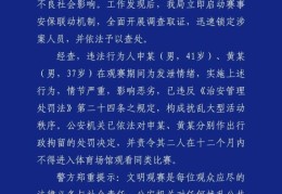 球迷中超比赛做侮辱性动作，成都警方通报