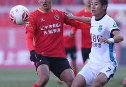 中甲：辽宁铁人队冲超成功