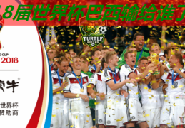 18届世界杯巴西输给谁了