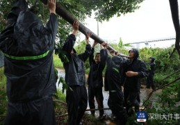 从“山竹”开始，深圳这家企业每遇台风都组织员工排险清障
